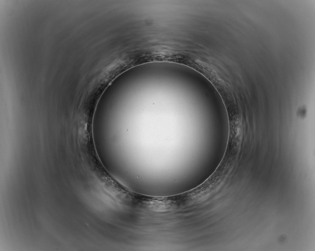 X0000099450615200805091507