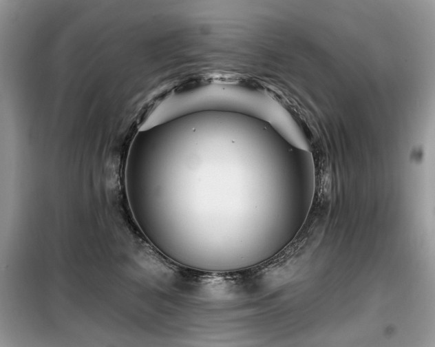 X0000099450616200805091507