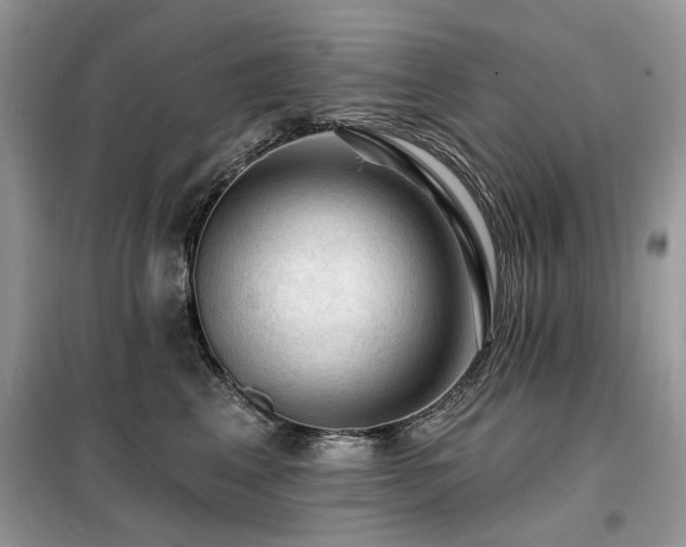 X0000099450617200805091507