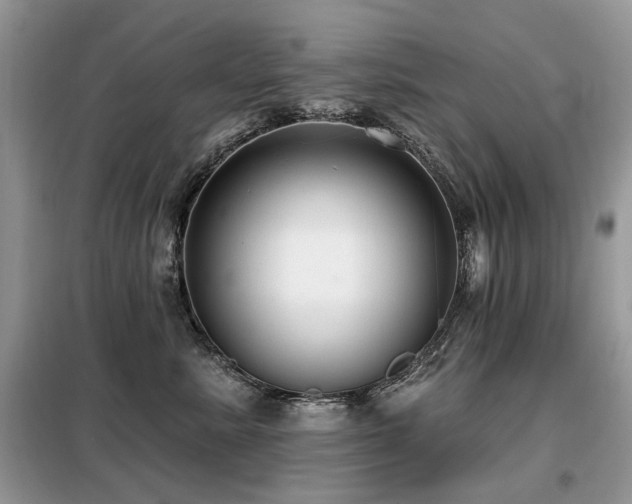 X0000099450619200805091507