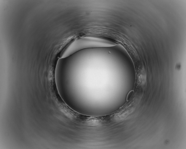 X0000099450620200805091507