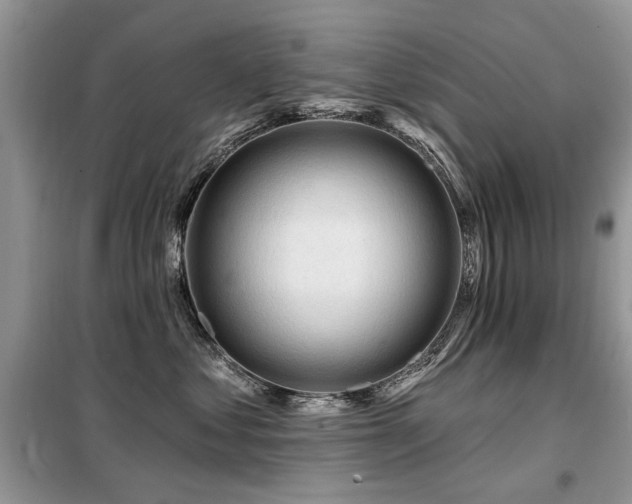 X0000099450621200805091507