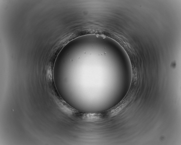 X0000099450622200805091507