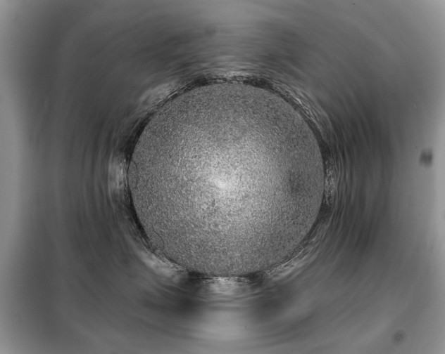X0000099450623200805091507
