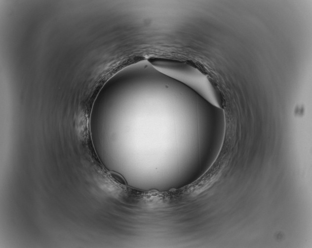 X0000099450624200805091507