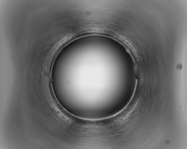 X0000099450625200805091506