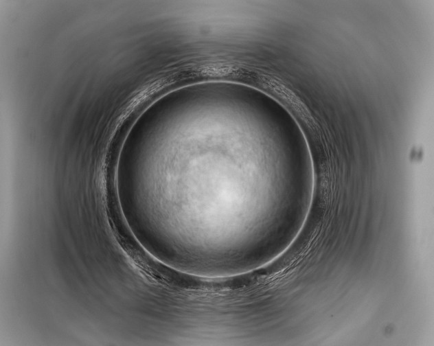 X0000099450626200805091506