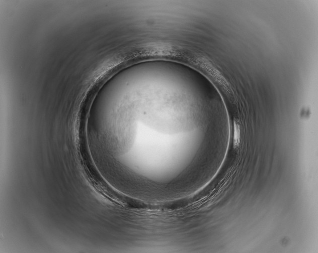 X0000099450627200805091506
