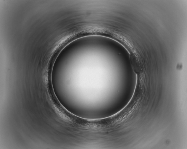 X0000099450629200805091506