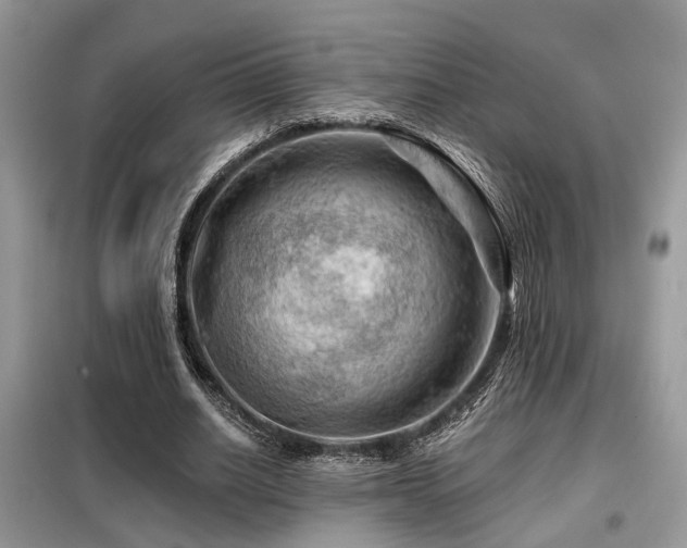 X0000099450630200805091506