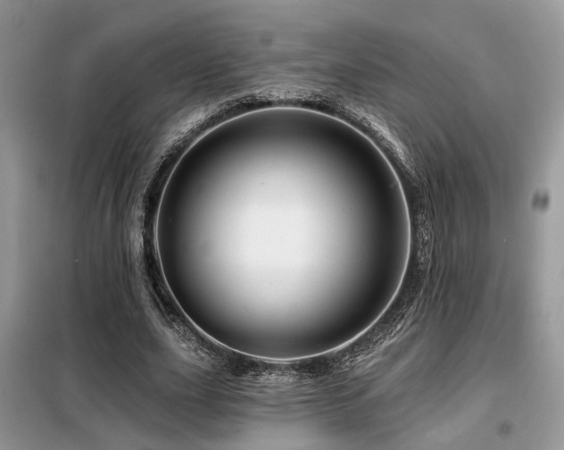 X0000099450631200805091506