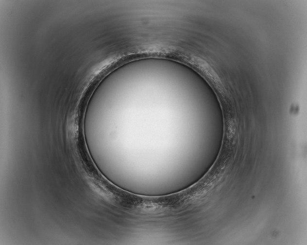 X0000099450632200805091506