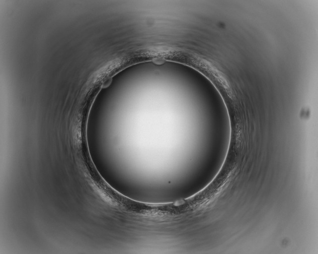 X0000099450633200805091506
