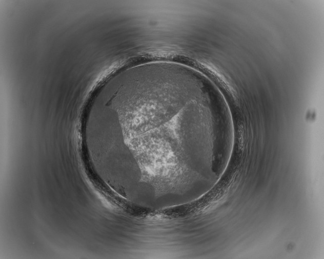 X0000099450634200805091506