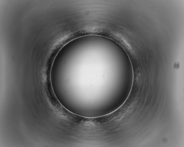 X0000099450635200805091506