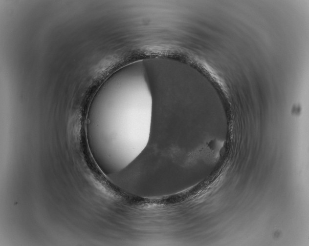 X0000099450637200805091506
