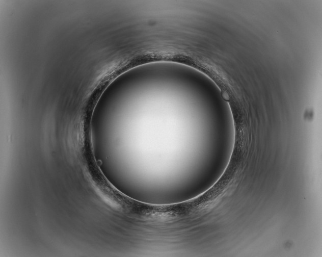 X0000099450638200805091506