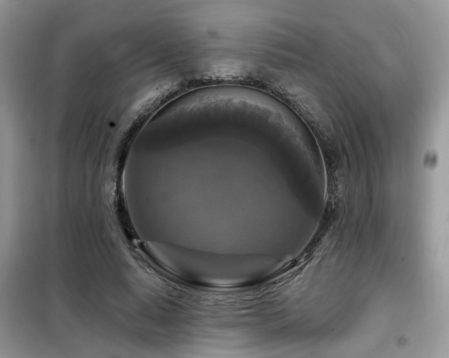 X0000099450640200805091506