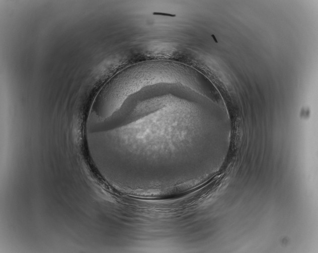X0000099450641200805091506
