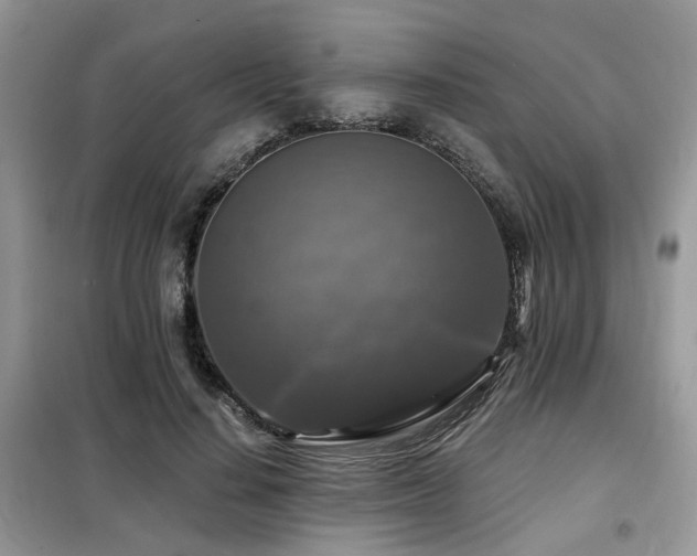 X0000099450644200805091506
