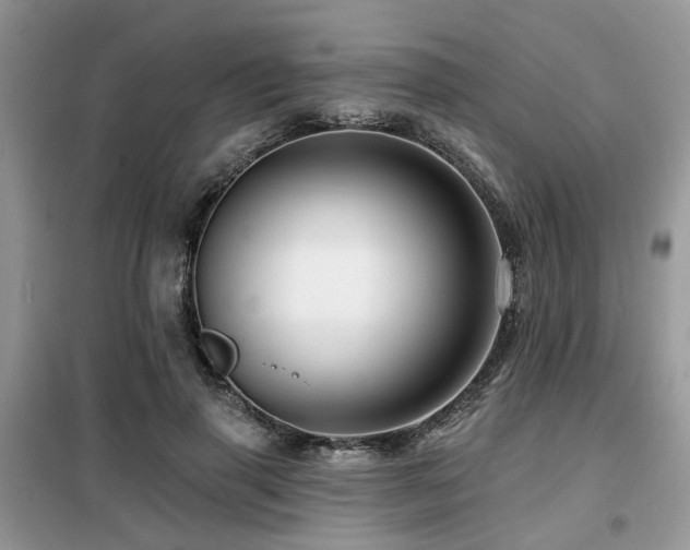 X0000099450645200805091506
