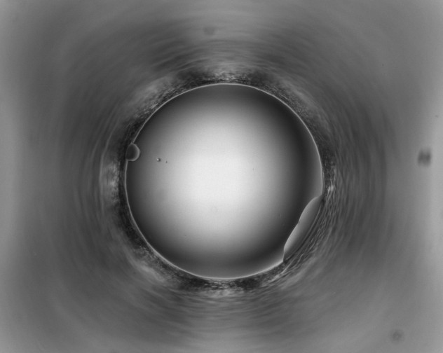 X0000099450646200805091506