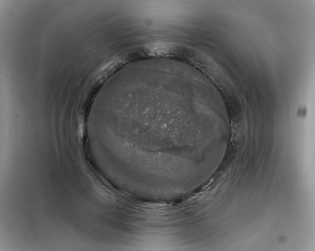 X0000099450648200805091506