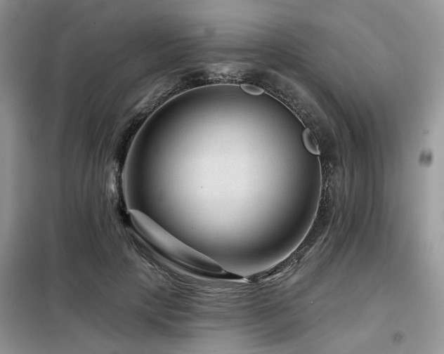 X0000099450649200805091506