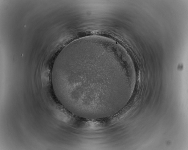 X0000099450650200805091506