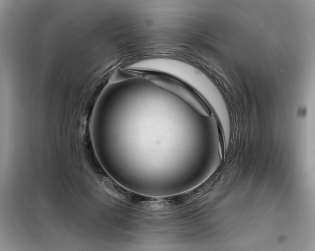 X0000099450652200805091507