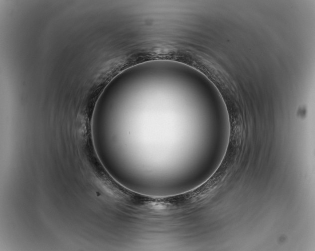 X0000099450654200805091507