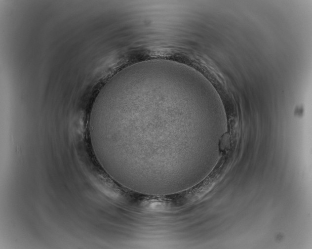 X0000099450655200805091507