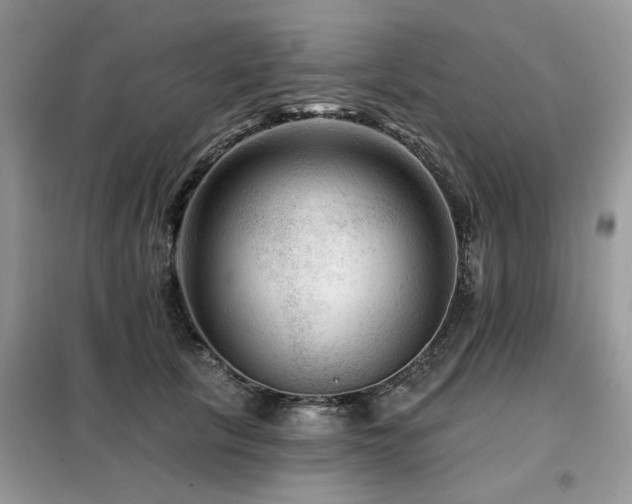 X0000099450657200805091507
