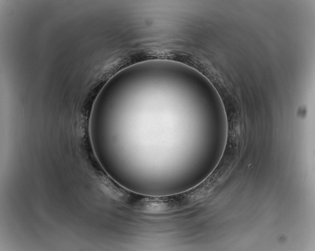 X0000099450658200805091507