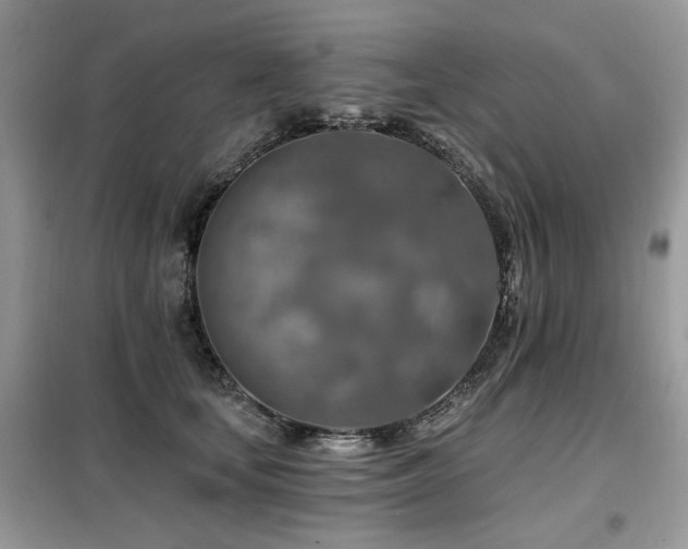 X0000099450659200805091507