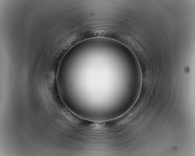 X0000099450660200805091507