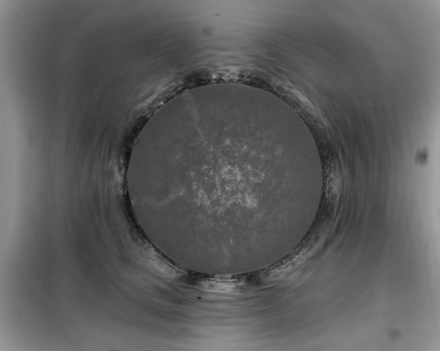 X0000099450661200805091507