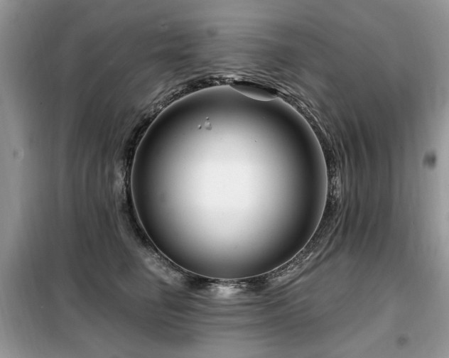 X0000099450662200805091507