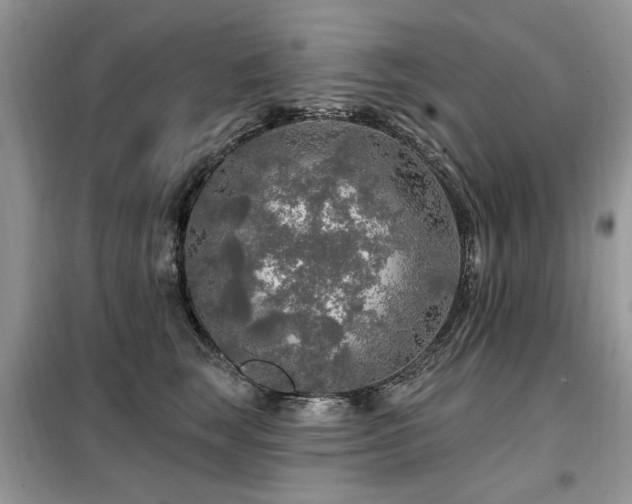 X0000099450663200805091507