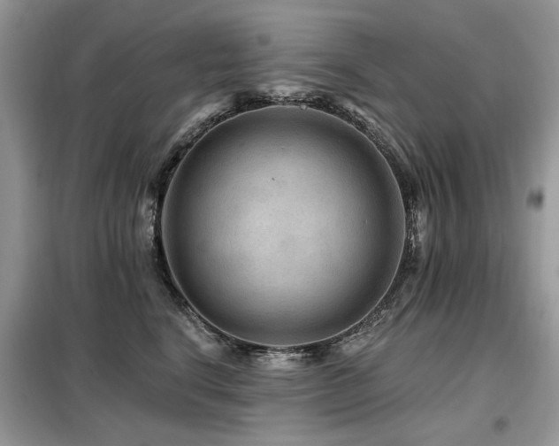 X0000099450664200805091507