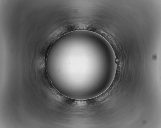 X0000099450665200805091507