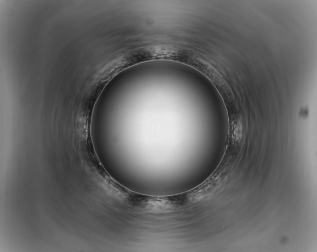 X0000099450666200805091507
