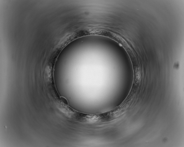 X0000099450667200805091507