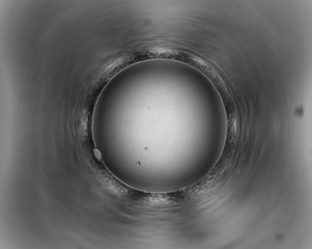 X0000099450668200805091507