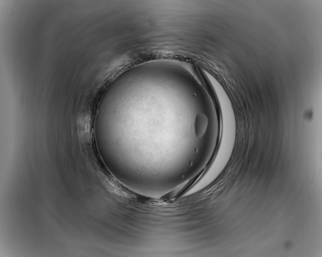 X0000099450670200805091507