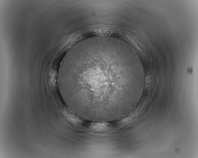 X0000099450671200805091507