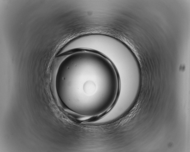 X0000099450673200805091506