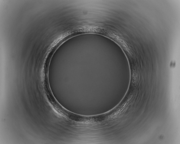 X0000099450674200805091506