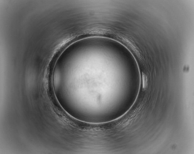 X0000099450675200805091506