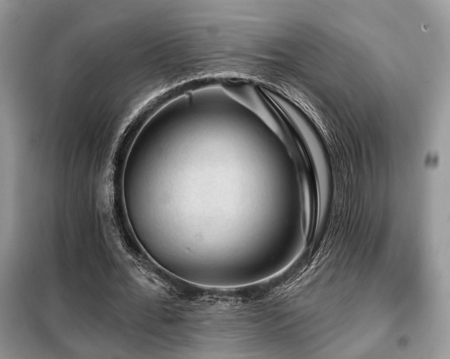 X0000099450676200805091506